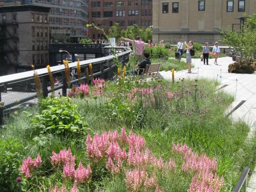 The High Line, New York